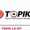 Có Mấy Cấp Topik