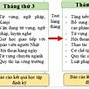 Công Ty Cổ Phần Cung Ứng Nhân Lực Quốc Tế Kokoro Việt Nam