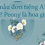 Hóa Đơn Tiếng Anh Là Gì