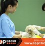 Học Thú Y Ở Đâu Tốt Nhất Hà Nội Uy Tín Nhất