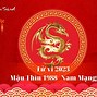 Mậu Thìn 1988 Nam Mạng Sao Gì