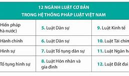 Trình Bày Hệ Thống Pháp Luật Việt Nam